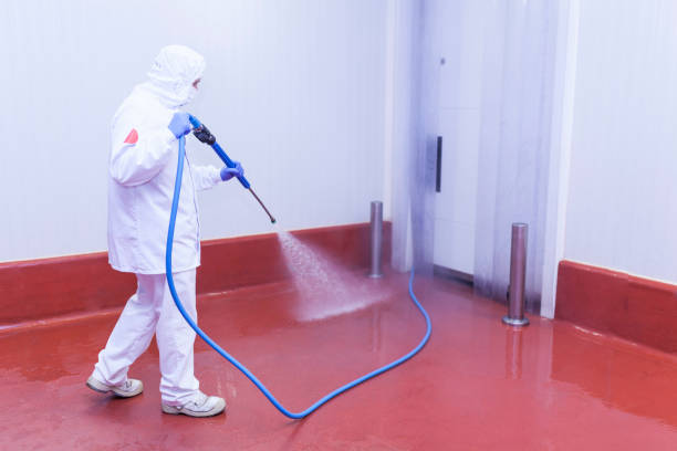 Best Rust Removal  in Deenwood, GA
